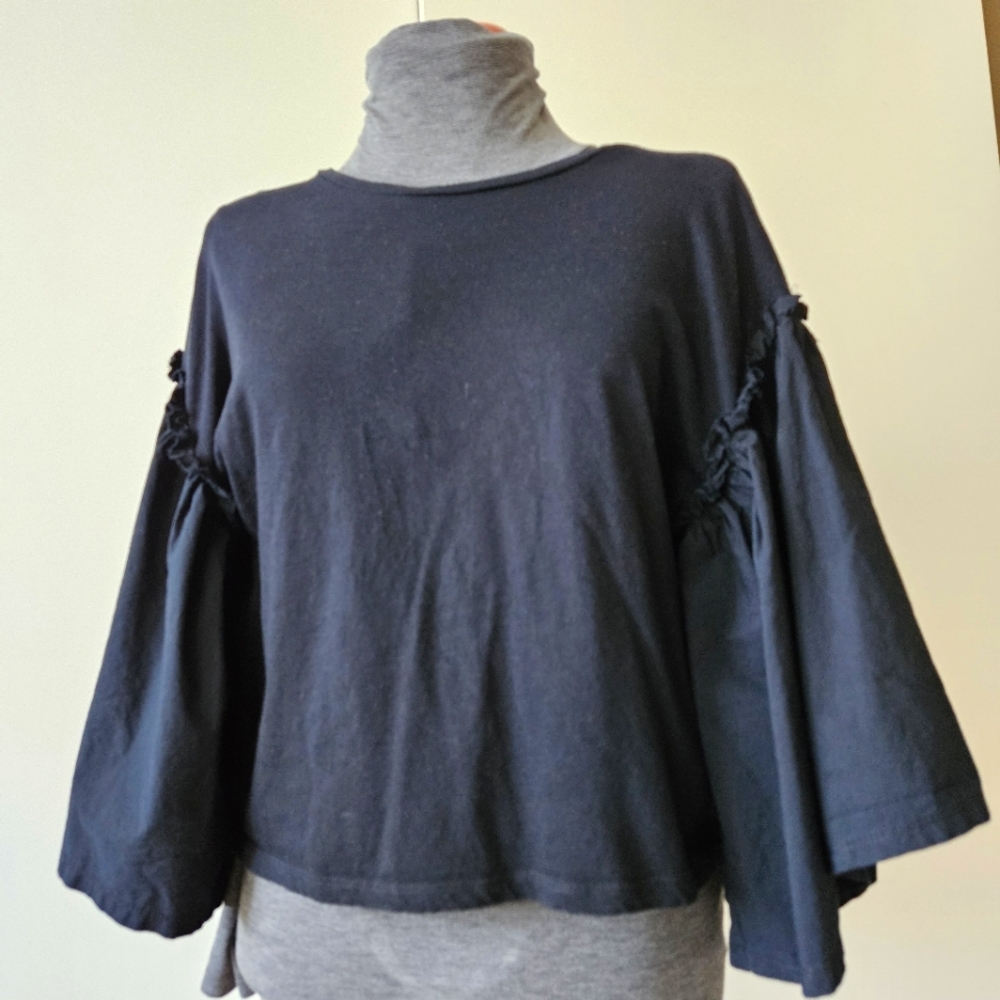 Zara Statement Ruffle Sleeve Top